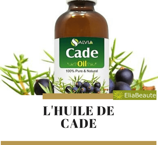 découvrez les bienfaits de l'huile de cade pour les cheveux et comment l'utiliser pour favoriser leur santé, lutter contre les pellicules et renforcer la fibre capillaire.