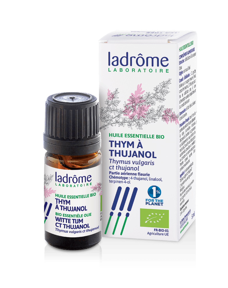 découvrez les bienfaits de l'huile essentielle de thym thujanol : propriétés antibactériennes, antivirales et soutien du système immunitaire pour votre bien-être au quotidien.