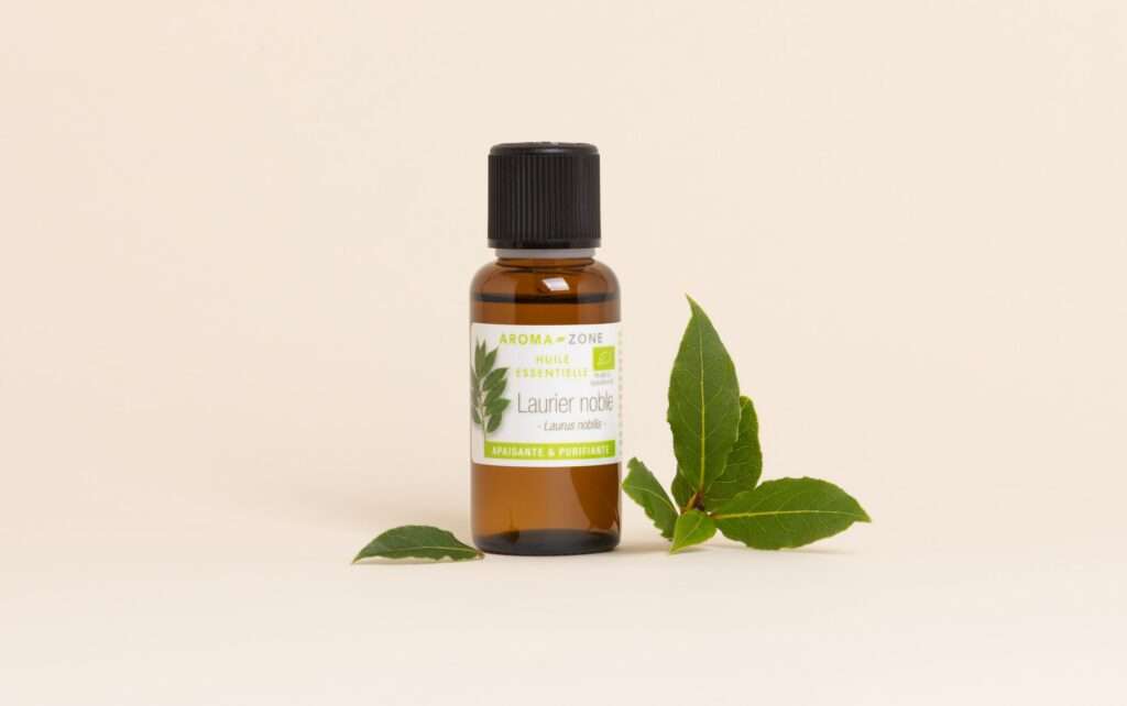 découvrez les bienfaits de l'huile de baie de laurier et ses différents usages pour la santé, la beauté et le bien-être naturel.