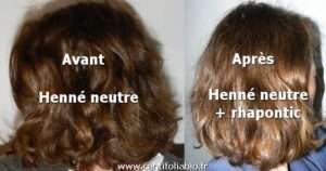 Le henné pour les cheveux : bienfaits, application et précautions