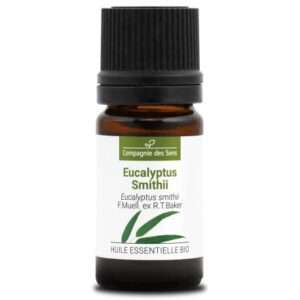 Huile essentielle contre le ronflement : quelles solutions naturelles efficaces