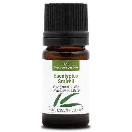 découvrez comment l'huile essentielle contre le ronflement peut améliorer votre sommeil en réduisant les vibrations nocturnes et favoriser une respiration plus calme et paisible.