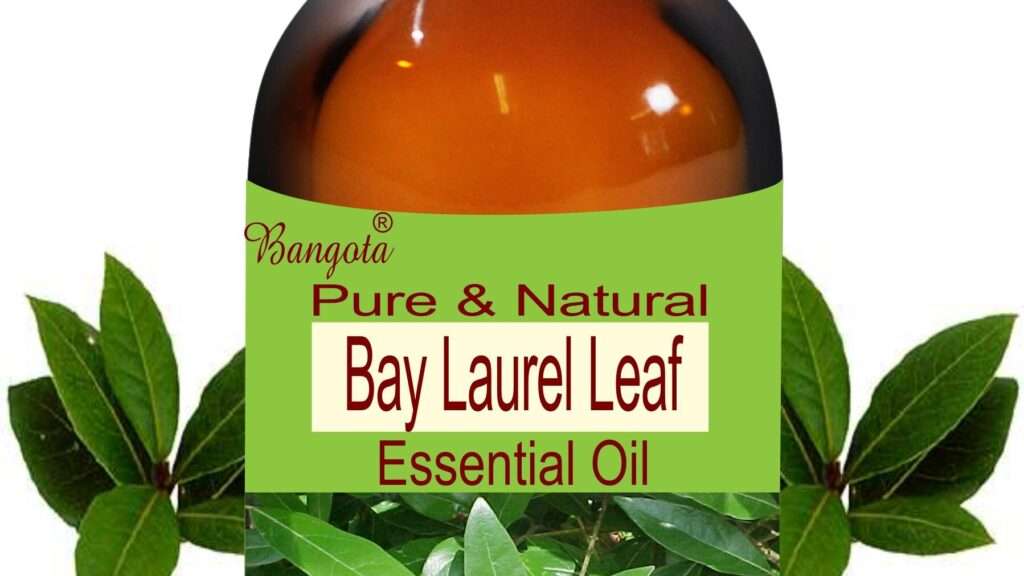 découvrez les bienfaits de l'huile de laurier bay, utilisée pour ses propriétés thérapeutiques et aromatiques uniques.