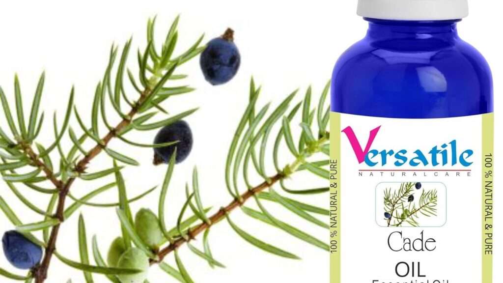 découvrez notre huile de cade naturelle, reconnue pour ses propriétés apaisantes et purifiantes. idéale pour les soins de la peau et du cuir chevelu.