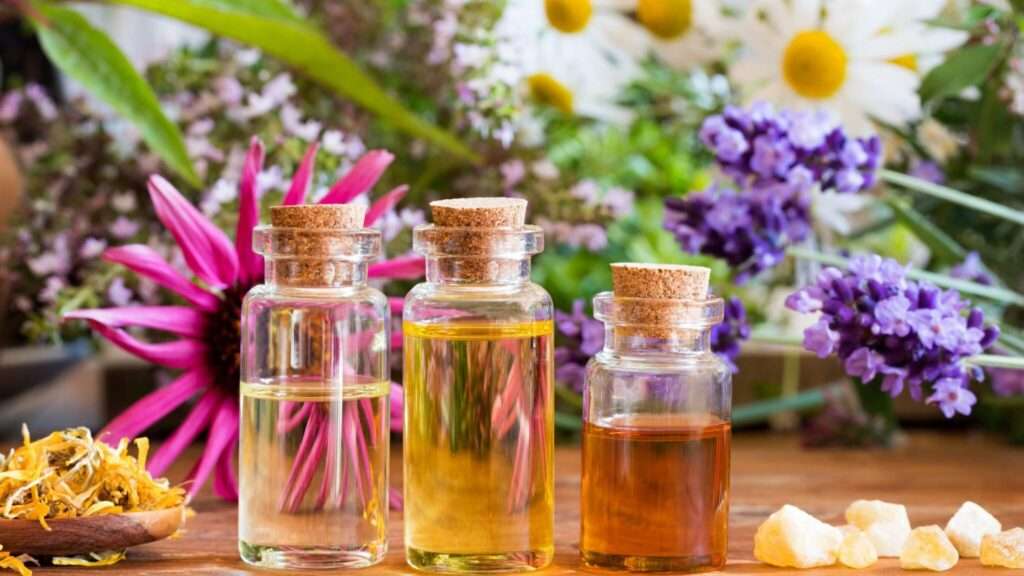 dĂ©couvrez les bienfaits des huiles essentielles : utilisez ces concentrĂ©s naturels pour amĂ©liorer votre bien-ĂȘtre, votre santĂ© et crĂ©er une ambiance apaisante chez vous.