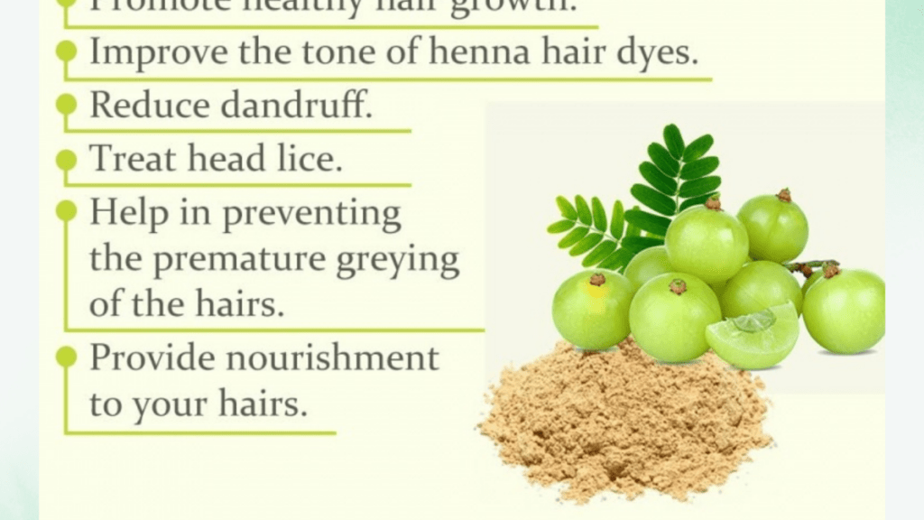 découvrez les bienfaits de la poudre de cheveux indienne pour renforcer, nourrir et revitaliser vos cheveux naturellement.