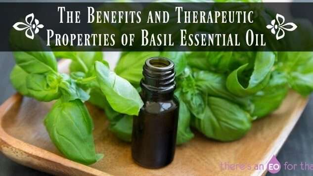 découvrez les bienfaits de l'huile essentielle de basilic tropical : une solution naturelle pour revitaliser votre corps, apaiser l'esprit et stimuler la santé.