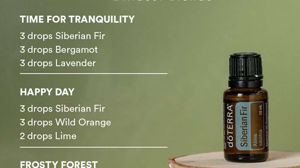 huile essentielle de sapin de sibérie : découvrez ses bienfaits naturels pour la relaxation, le bien-être et les soins aromathérapiques.