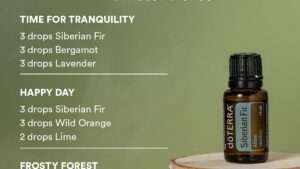 Huile essentielle sapin de sibérie : bienfaits et utilisations pour le bien-être